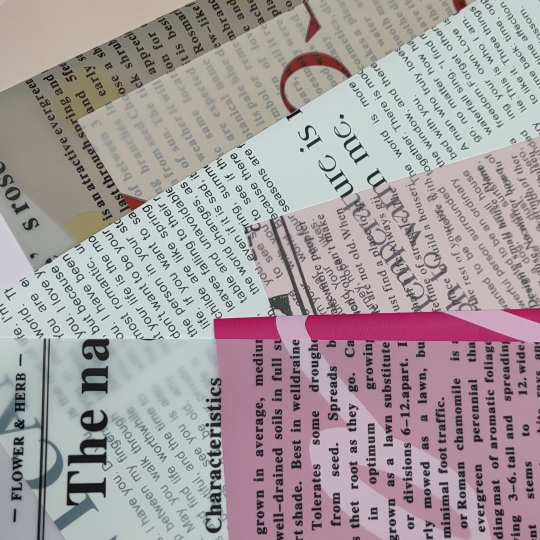 box-journaling-39900-transferencia-o-efectivo-9484