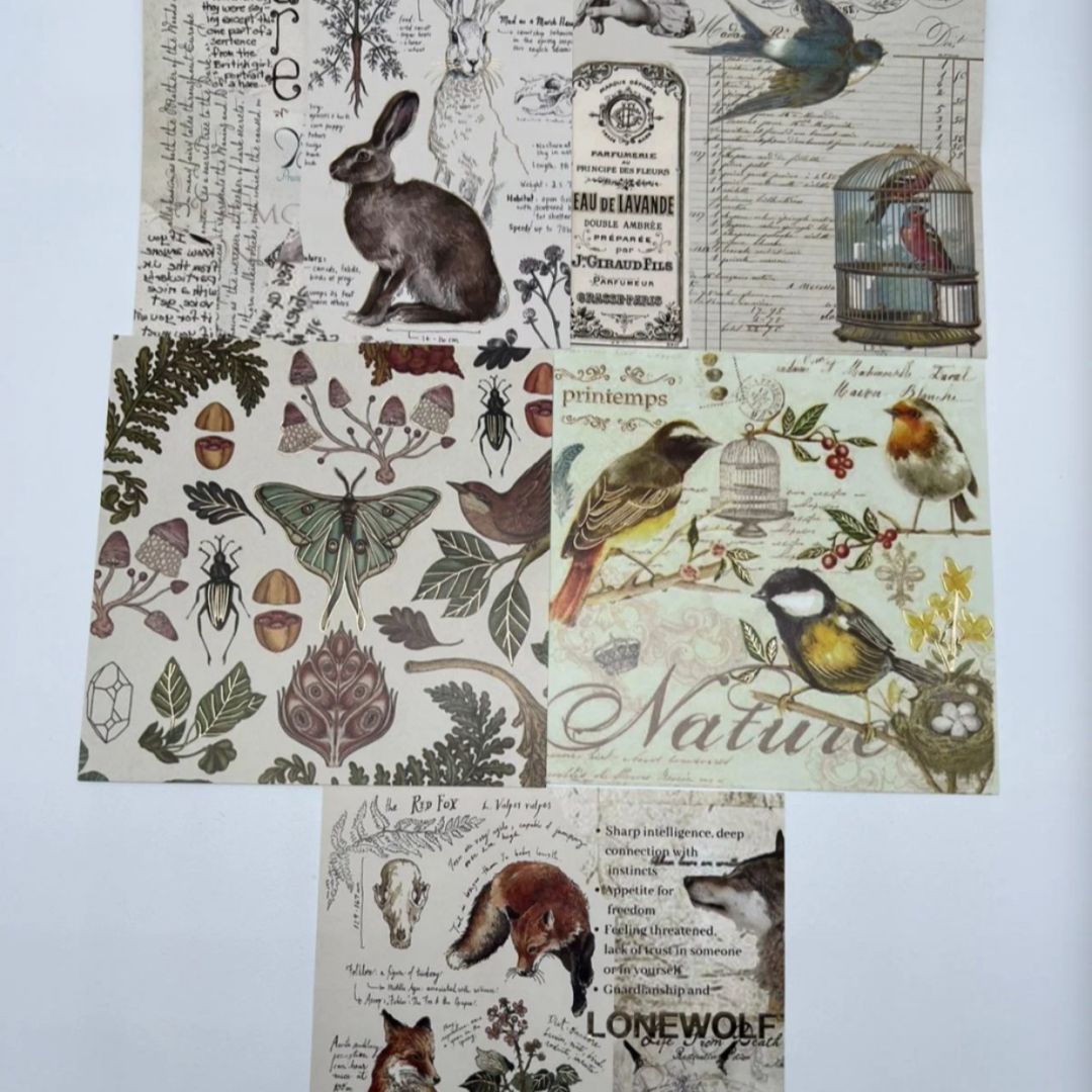 kit-scrap-vintage-bellum-stickerfoil-9566